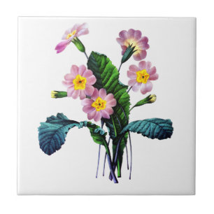 Primevere or Primroses by Pierre Joseph Redoute Ceramic Tile