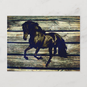 Primitive BarnWood Equestrian Black Stallion Horse Postcard