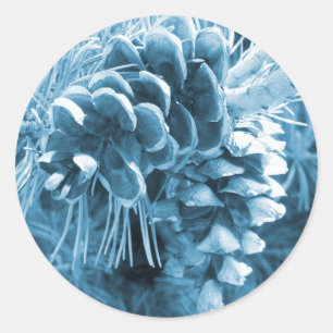 Primitive Christmas pine tree ice blue pinecone Classic Round Sticker