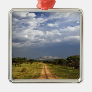 Primitive dirt road across the northern metal ornament