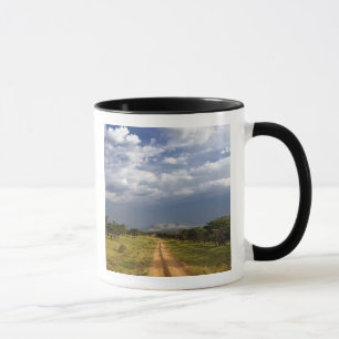 Primitive dirt road across the northern mug