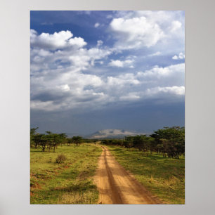 Primitive dirt road across the northern poster