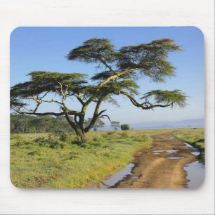 Primitive dirt road and acacia tree, Lake Nakuru Mouse Pad