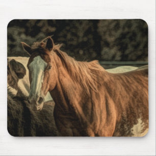 Primitive rustic western country wild horse mouse pad