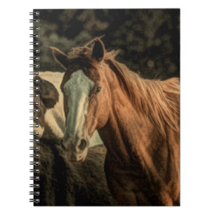 Primitive rustic western country wild horse notebook