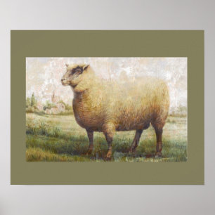 Primitive Sheep Poster