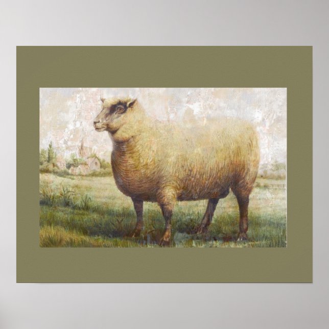 Primitive Sheep Poster (Front)