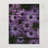 Primitive Western Country Barn Board purple daisy