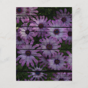 Primitive Western Country Barn Board purple daisy Postcard