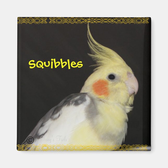 Primrose Cockatiel Magnet (Front)