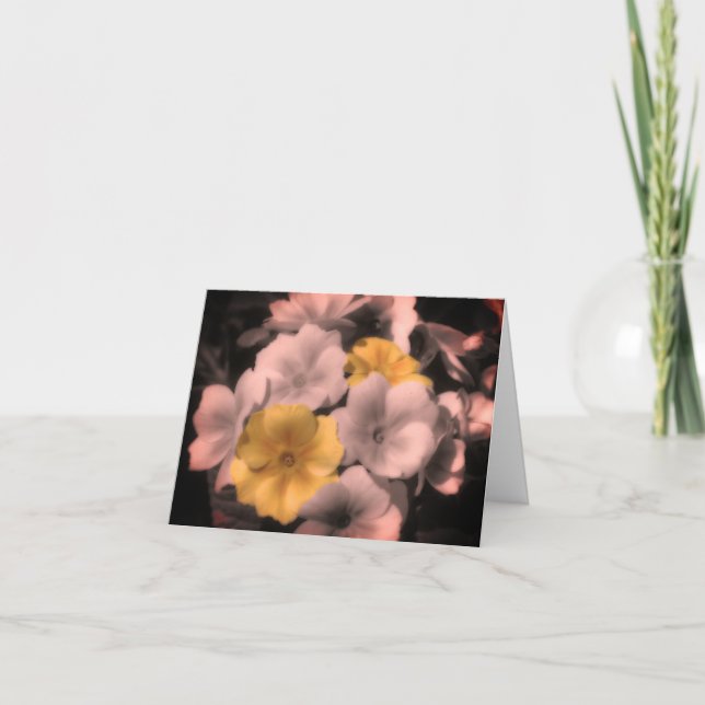 Primrose Flower Black And White Note Card (Front)
