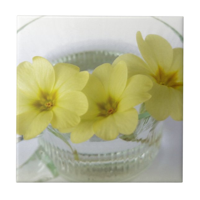primrose in a coffee cup ceramic tile (Front)