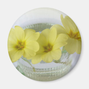primrose in a coffee cup magnet