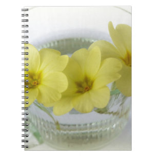 primrose in a coffee cup notebook