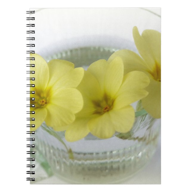 primrose in a coffee cup notebook (Front)
