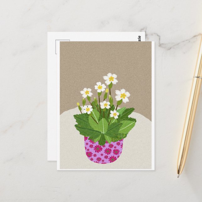 Primrose Postcard (Front/Back In Situ)