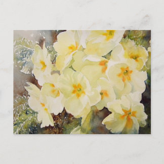Primrose Posy Postcard