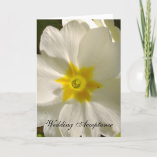 Primrose Wedding Acceptance Card