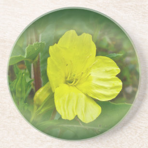 Primrose Yellow Wildflower Coordinating Items Coaster