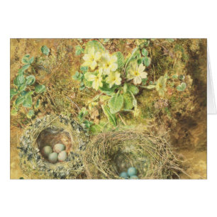 Primroses and Birds' Nests