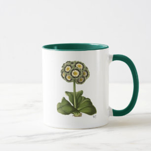 Primula Auricula Blue Mug