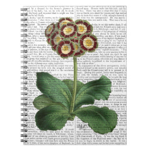 Primula Auricula Red Notebook
