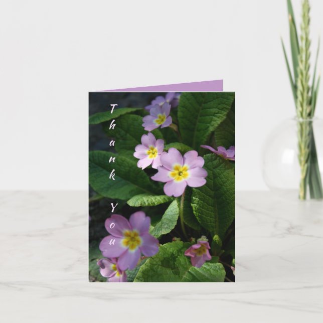 Primula Spring Flowers 2 Sympathy Thank You NoteC (Front)