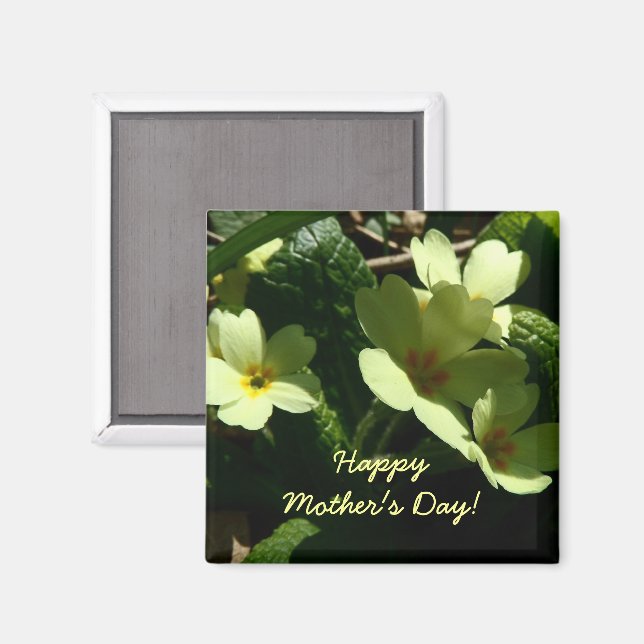 Primula vulgaris Primrose Mother's Day magnet (Front/Back)