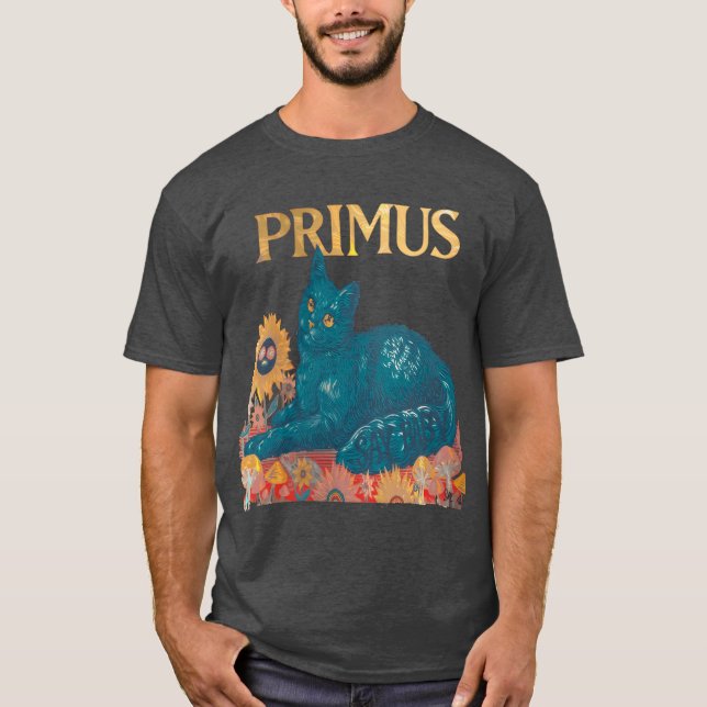 Primus Raw Epressive With Emotional Storytelling v T-Shirt (Front)