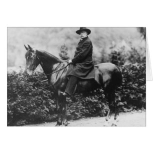 Prince Bismarck in Friedrichsruh, 1890