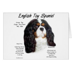 Prince Charles English Toy Spaniel History
