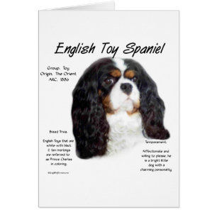 Prince Charles English Toy Spaniel History