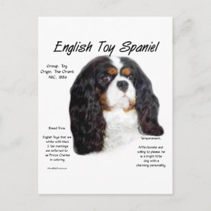 Prince Charles English Toy Spaniel History Postcard