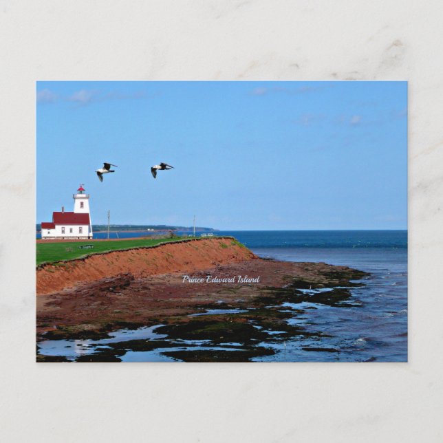 Prince Edward Island Lighthouse Postcard (Front)