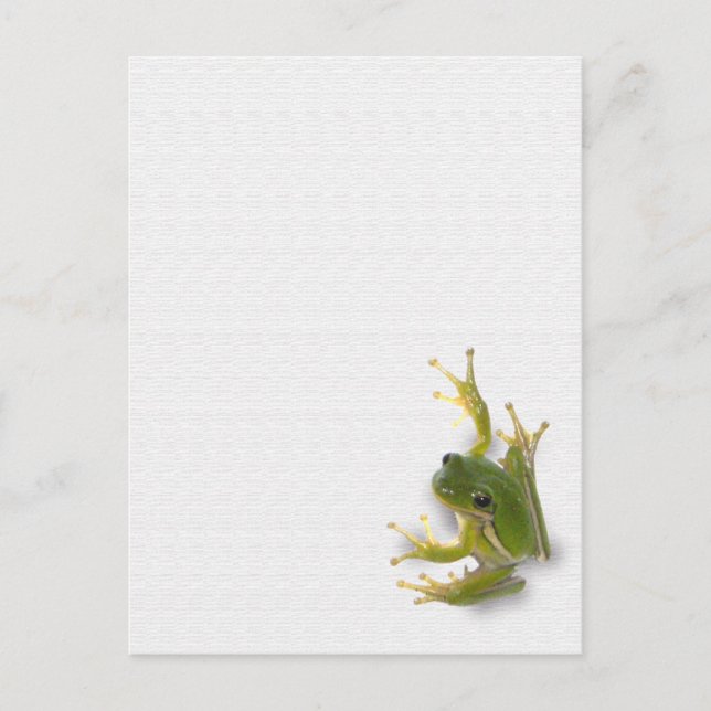 "prince" frog postcard (Front)