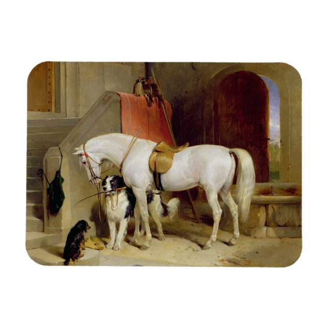 Prince George's Favourites (oil on canvas) Magnet (Horizontal)