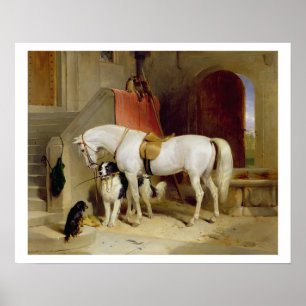 Prince George's Favourites (oil on canvas) Poster