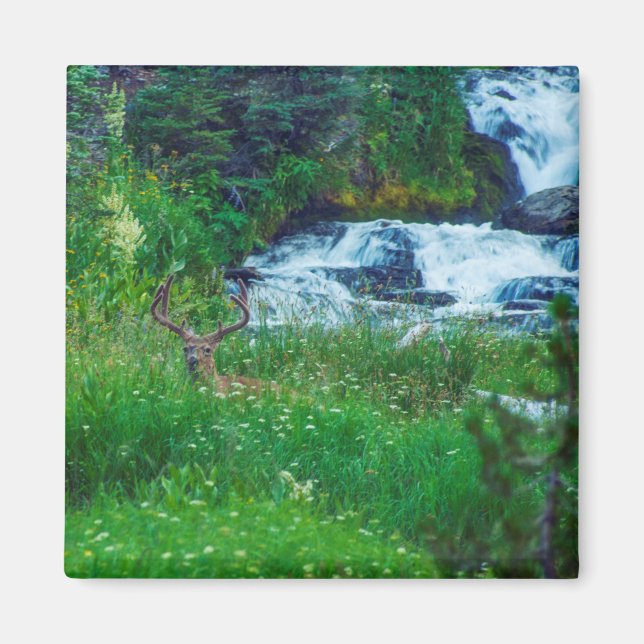 Prince of the Forest Magnet (Front)