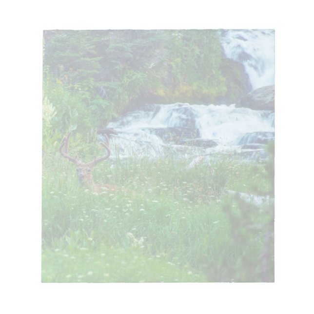 Prince of the Forest Notepad (Front)