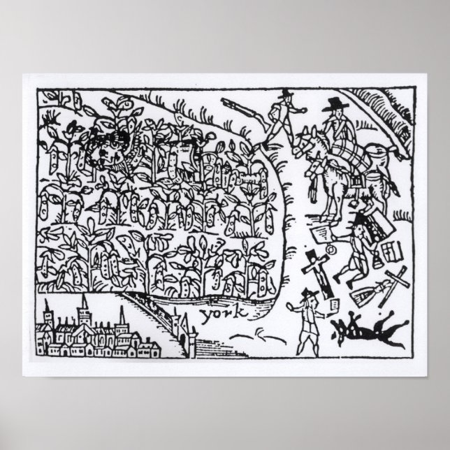 Prince Rupert  Hiding in a Bean Poster (Front)