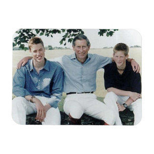 Princes Charles William Harry 1999 Magnet