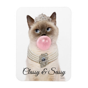 Princess Cat Blowing Bubble Gum Magnet