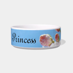 Princess Cat Food Bowls Pink Spring Blossoms Sky