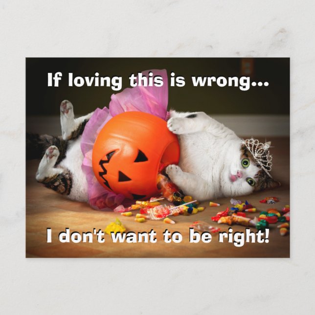 Princess Cat With Candy Bucket Invitation Postcard (Front)