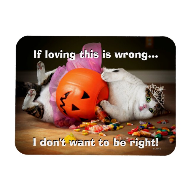 Princess Cat With Candy Bucket Magnet (Horizontal)