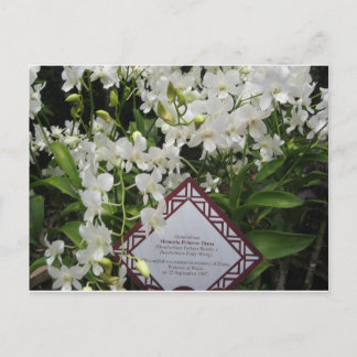"Princess Diana" Orchid Garden,Singapore Postcard