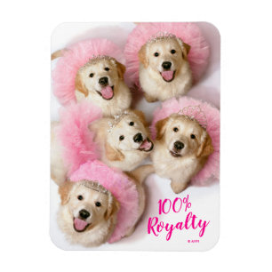 Princess Dogs in Tiaras Magnet