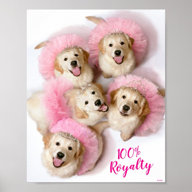 Princess Dogs in Tiaras Poster (Front)