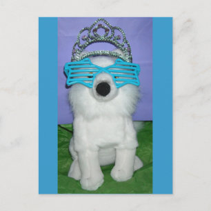 Princess Humour/Tiara Postcard