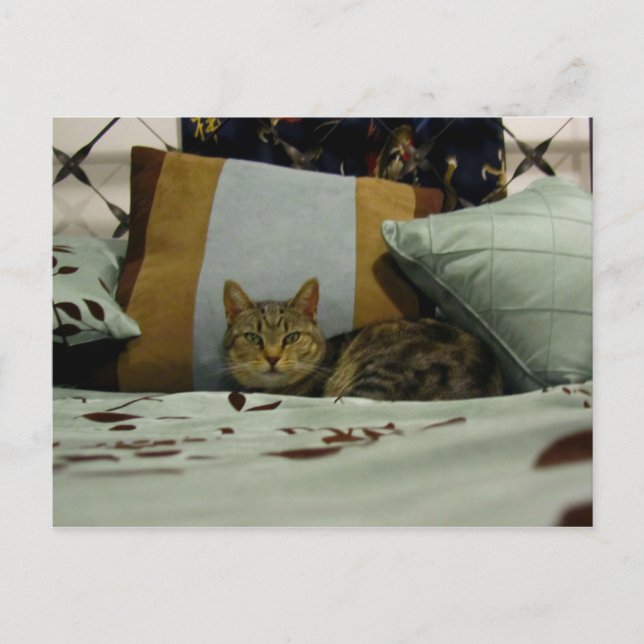 Princess Indigo Postcard (Front)